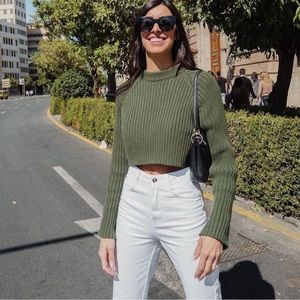 Zara Raglan Sleeve Cropped Knit Sweater